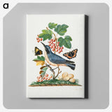 1-3_James-Bolton_canvas