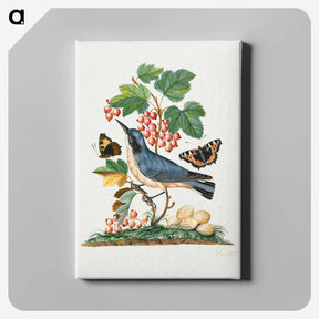 1-3_James-Bolton_canvas