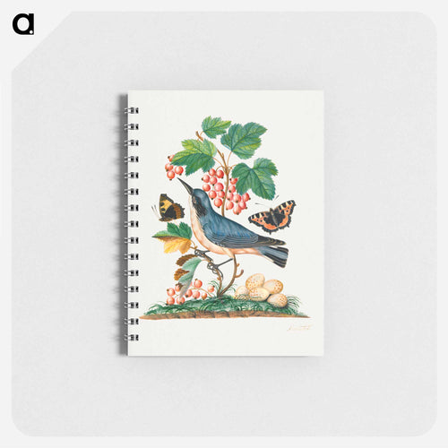 Anna Blackburne's Natural History Cabinet
 - ジェームズ ボルトン Memo.