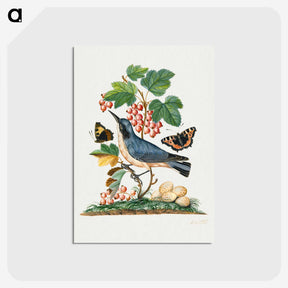 1-3_James-Bolton_postcard
