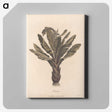1-3_James-Heath_canvas