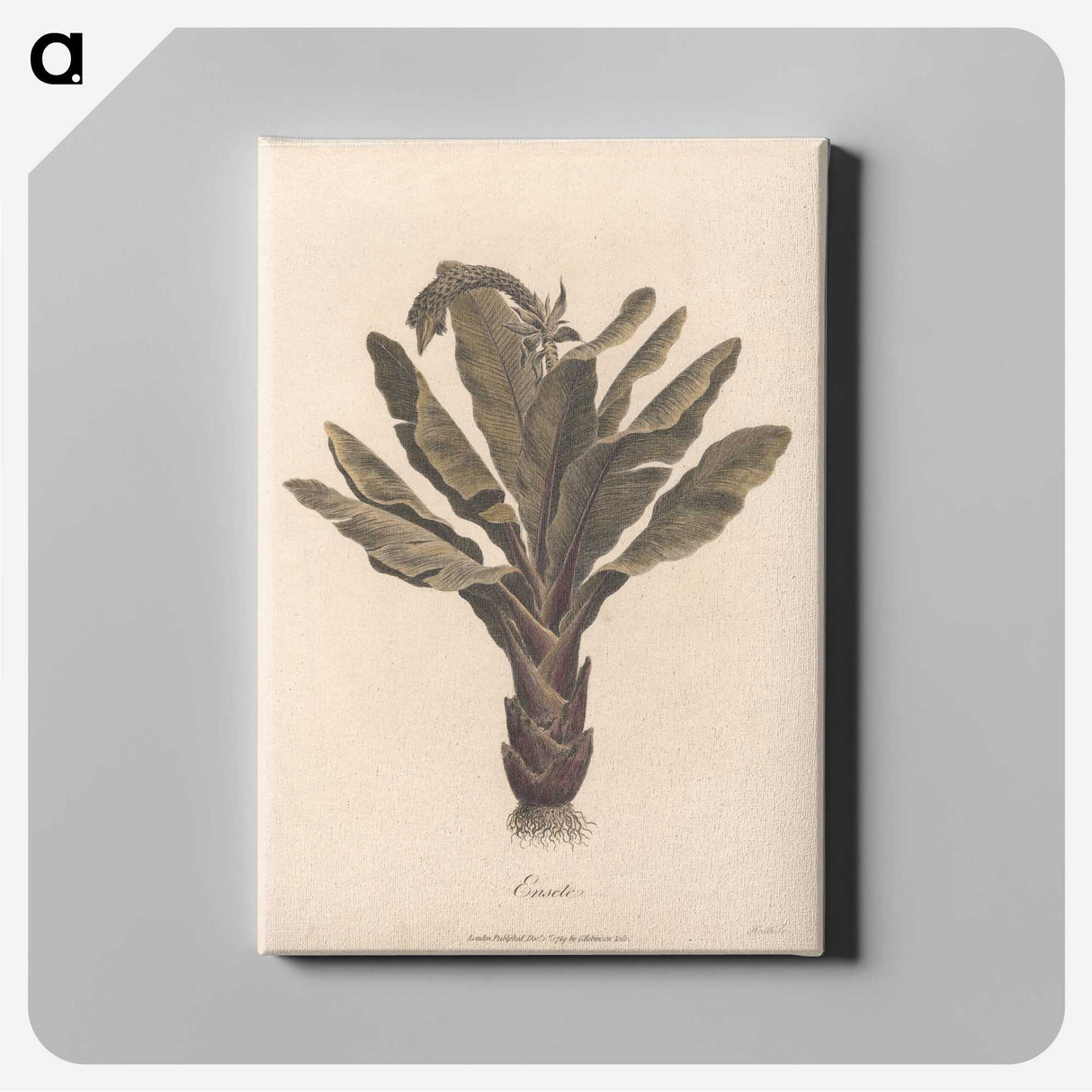 1-3_James-Heath_canvas