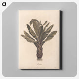 1-3_James-Heath_canvas