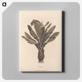 1-3_James-Heath_canvas