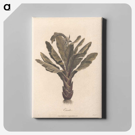 1-3_James-Heath_canvas