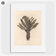 1-3_James-Heath_picture