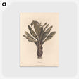 1-3_James-Heath_postcard