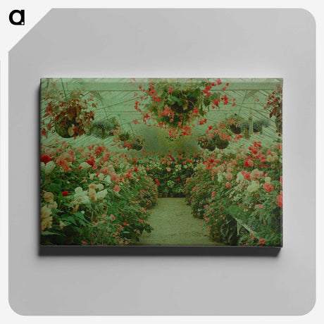 1-3_James-Walter-Chapman-Taylor_canvas