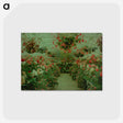 1-3_James-Walter-Chapman-Taylor_postcard