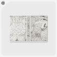 1-3_Jan-Toorop_postcard