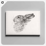 アートパネル-Head of a rabbit - ジャン ベルナール Canvas.