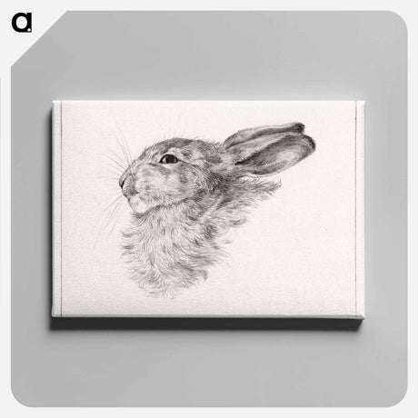 アートパネル-Head of a rabbit - ジャン ベルナール Canvas.