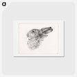 アートポストカード-Head of a rabbit - ジャン ベルナール Postcard.