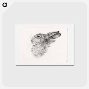アートポストカード-Head of a rabbit - ジャン ベルナール Postcard.