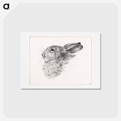 アートポストカード-Head of a rabbit - ジャン ベルナール Postcard.