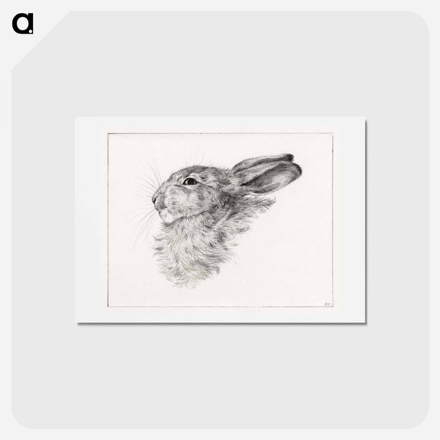 アートポストカード-Head of a rabbit - ジャン ベルナール Postcard.