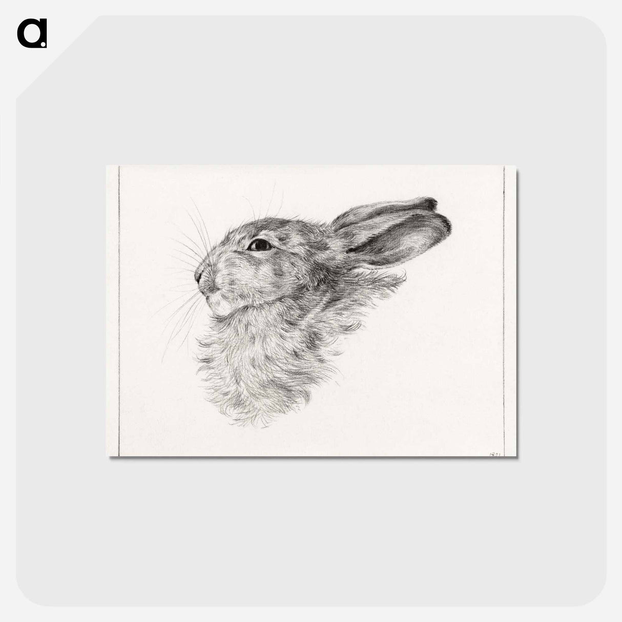 アートポストカード-Head of a rabbit - ジャン ベルナール Postcard.