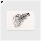 アートポストカード-Head of a rabbit - ジャン ベルナール Postcard.