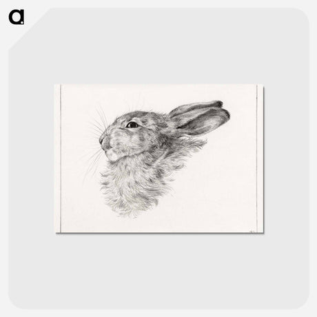 アートポストカード-Head of a rabbit - ジャン ベルナール Postcard.