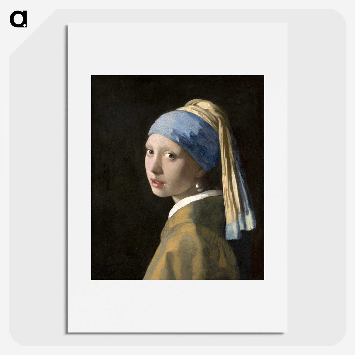 1-3_Johannes-Vermeer_picture