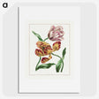 1-3_John-Edwards_picture