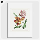 1-3_John-Edwards_picture