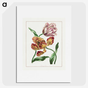 1-3_John-Edwards_picture