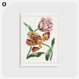 1-3_John-Edwards_postcard