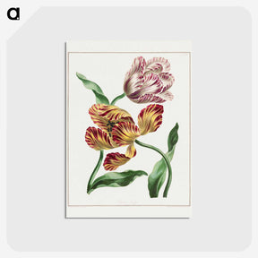 1-3_John-Edwards_postcard