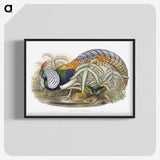 1-3_John-Gould_blk-crop