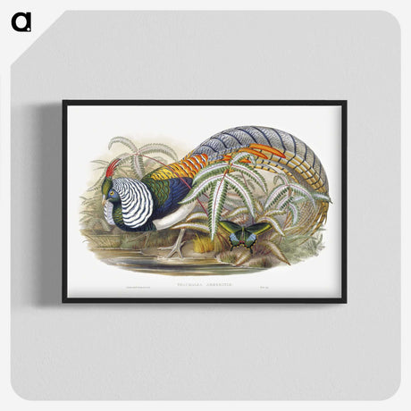 1-3_John-Gould_blk-crop
