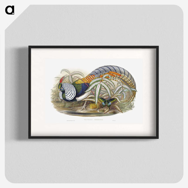 1-3_John-Gould_blk