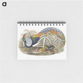 1-3_John-Gould_memo