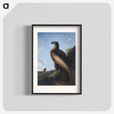 1-3_John-James-Audubon_blk