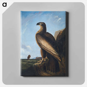 アートパネル-Washington Sea Eagle
 - ジョン ジェームス オーデュボン Canvas.