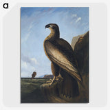1-3_John-James-Audubon_picture-crop