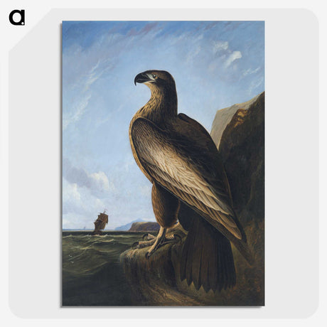 1-3_John-James-Audubon_picture-crop