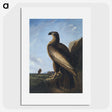 1-3_John-James-Audubon_picture