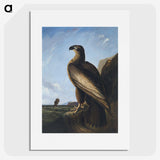 1-3_John-James-Audubon_picture