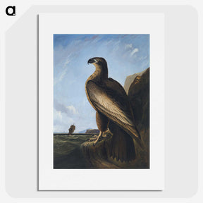 1-3_John-James-Audubon_picture