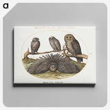 1-3_Joris-Hoefnagel_canvas