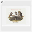 1-3_Joris-Hoefnagel_picture