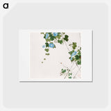 Insects and Flowers
 - ジュ リアン Postcard.