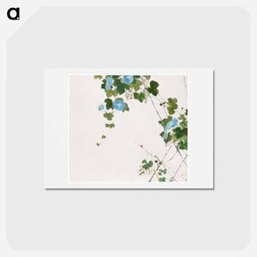 アートポストカード-Insects and Flowers
 - ジュ リアン Postcard.