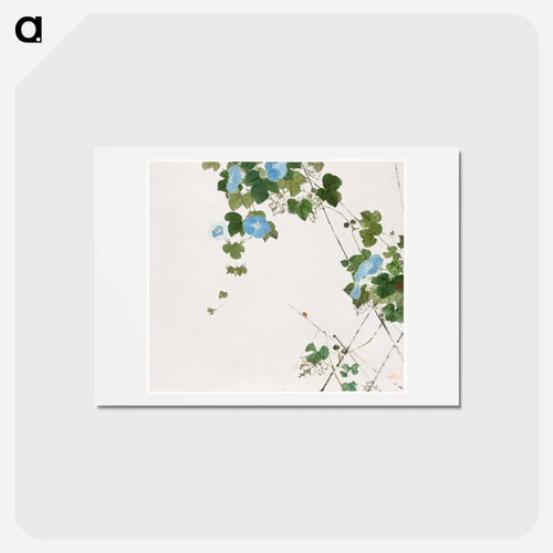 Insects and Flowers
 - ジュ リアン Postcard.