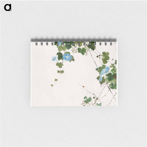 Insects and Flowers
 - ジュ リアン Memo.