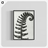 1-3_Karl-Blossfeldt_blk-crop