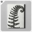 1-3_Karl-Blossfeldt_canvas
