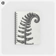 1-3_Karl-Blossfeldt_memo