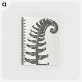 1-3_Karl-Blossfeldt_memo